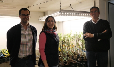 Researchers Carlos Agustí, Ana Moral and Antonio Trapero 