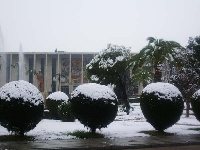 Rabanales, nevado.