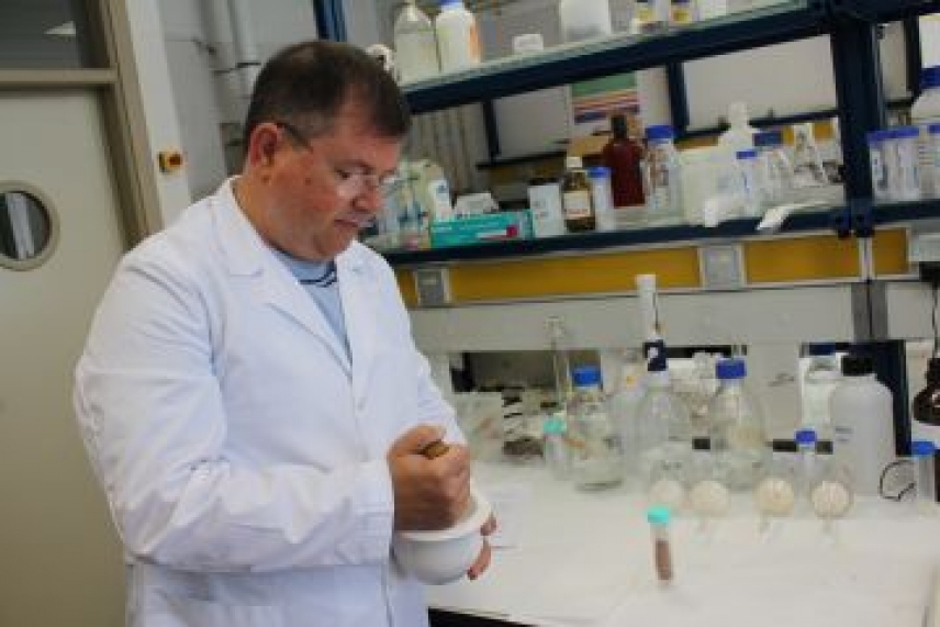 La ciencia se fija en el salmorejo