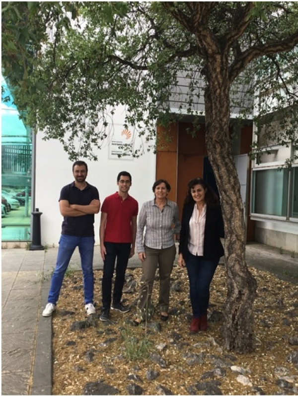 Equipo de trabajo; Cristina Prades, Begoña Abellanas, Rafael Sánchez de la Cuesta, José Luis Gómez Flores