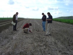 Members of team in the experimental country